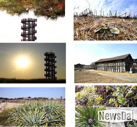 시흥갯골생태공원