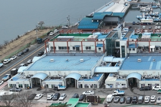 《기획취재》 궁평항 수산물 직매장 무엇이 문제인가? 제2탄 법과 절차를 무시한 행정, 건축된 건축물은 건축법을 따라야 한다