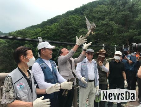 김덕현 연천군수, 한국조류보호협회와 황조롱이 자연의 품으로 돌려보내