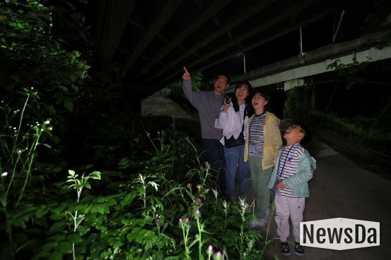 무주군, 운문산반딧불이 신비탐사 성료