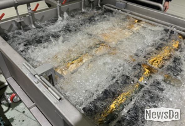 대용량 권지 세척장치