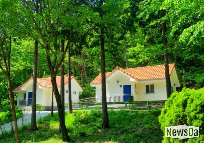 남해 편백자연휴양림