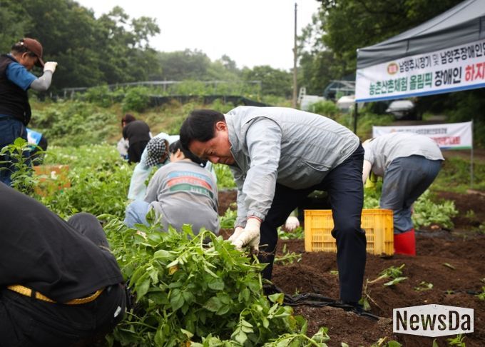 주광덕 남양주시장, 장애인과 함께 하지 감자 캐기 체험