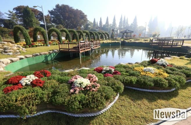 2024년 국화 축제 사진