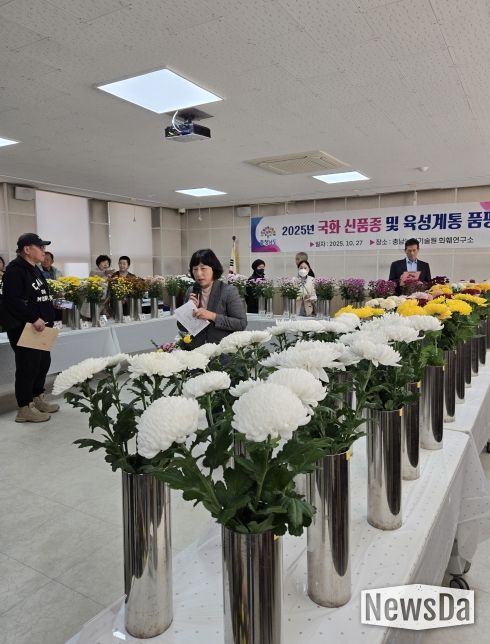 농기원, 국화 신품종 계통 품평회 개최