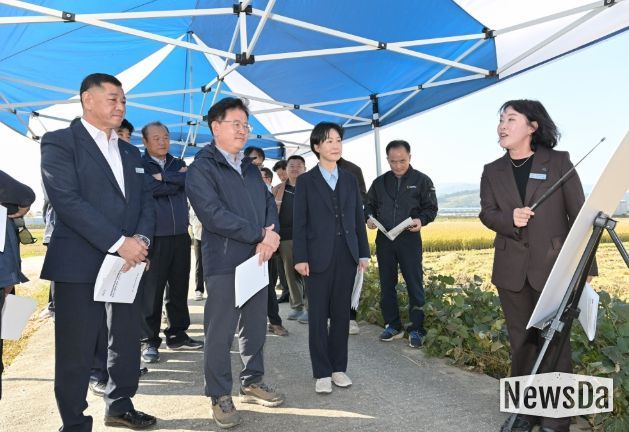 공주시 벼 수확·수매 현장 방문