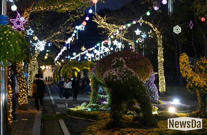 해남미남축제 즐길거리 (국화향연)