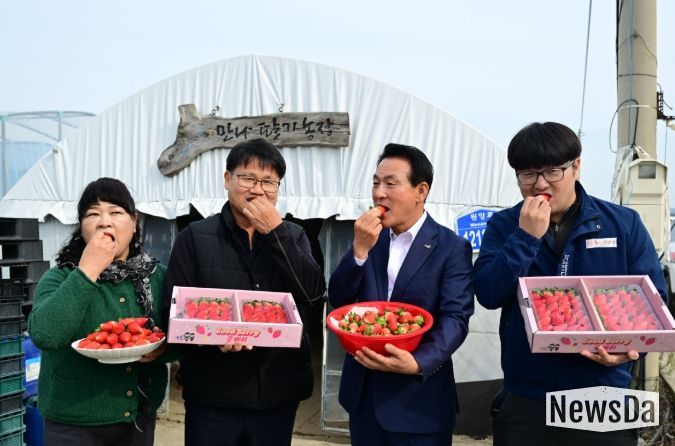 딸기 품종 혁신, ‘조이베리’로 문 열다