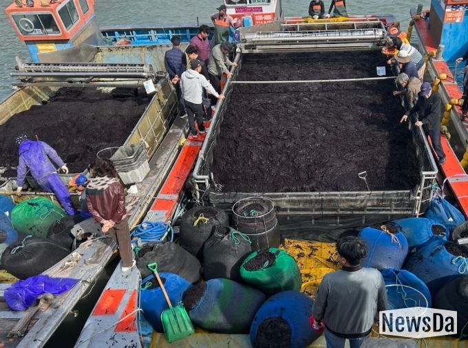 곱창김 전국 첫 위판 시작