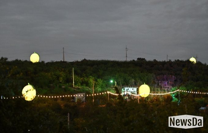 고흥의 밤, 유자빛으로 물든다… 제5회 고흥유자축제 야간경관 사전 개방