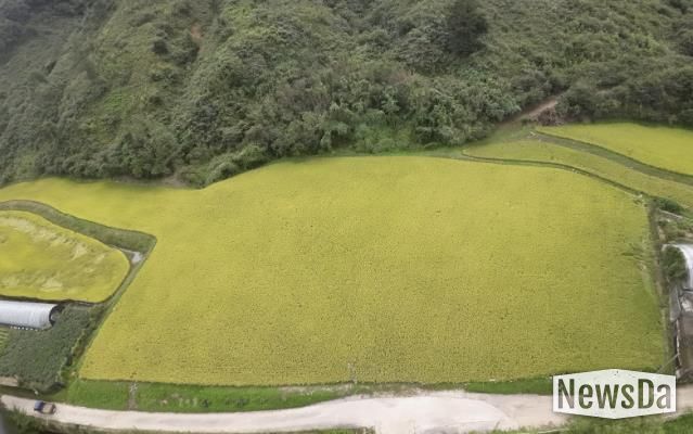 경기도 남양주시 조안면 시우리 222-3번지 일원에 있는 「구리시 관외 농지 활용 벼농사 체험장」 전경