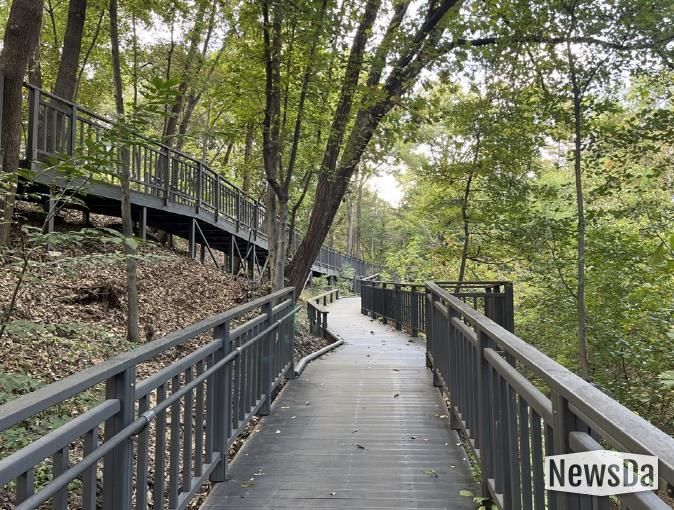 추동숲정원 데크길