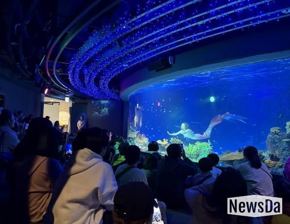 수원특례시 드림스타트 아동·가족이 아쿠아플라넷 관람을 하고 있다.