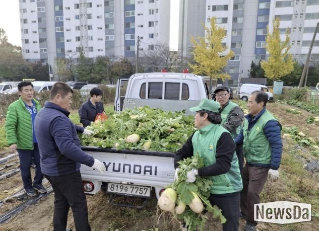 수원시 권선구 새마을지도자협의회, ‘사랑의 무’수확