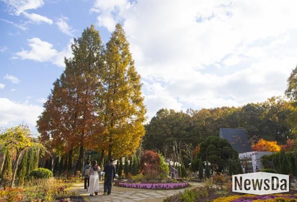 무릉도원수목원