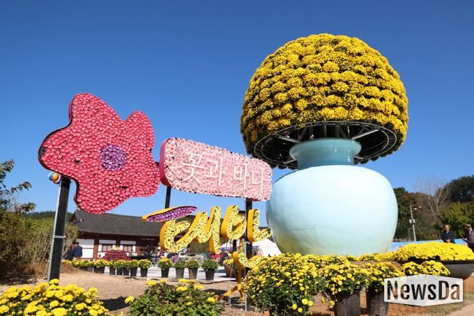 11월 3일 태안 국화축제 모습.