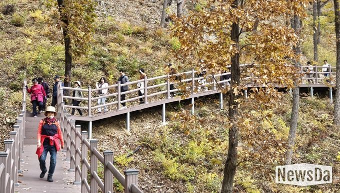 보은군, 단풍길 따라 힐링걷기‘속리산 둘레길 걷기 축제’ 성황리 마무리