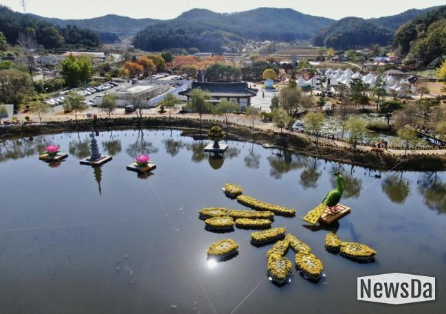 ‘2025 태안 국화축제’ 모습.