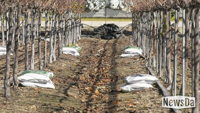 남원시, 2026년 유기질비료 지원사업 신청접수 실시