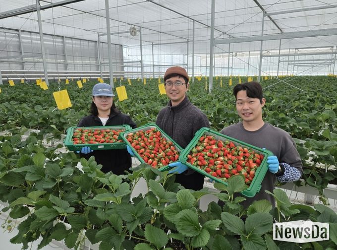남상주농협, 금실 품종 첫 선적, K(케이)-딸기 글로벌 경쟁력 강화