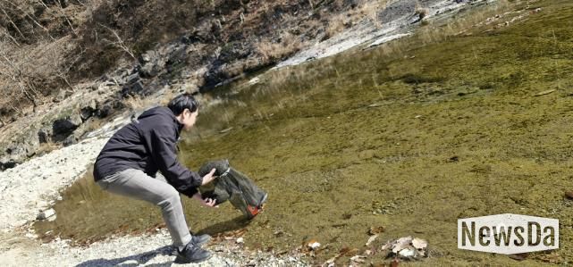 연천군, 한탄강·임진강에 토산어종 ‘다슬기’ 치어 83만 미 방류