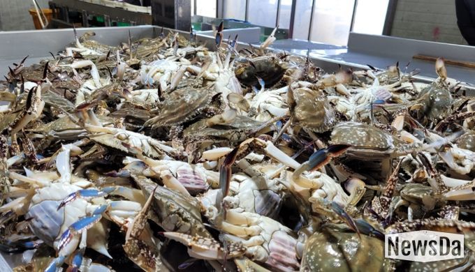 진도군, 해양수산부 공모사업 선정