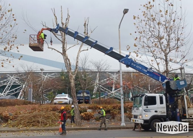 고양시 일산서구, 교통흐름 방해 가로수 전정 완료