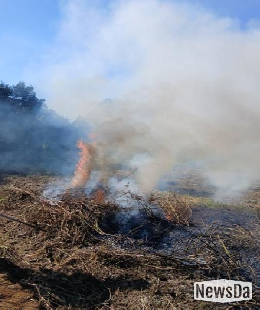 안성시, 농촌지역 산불․화재 예방 불법소각 집중단속 결과, 올해 81건 적발