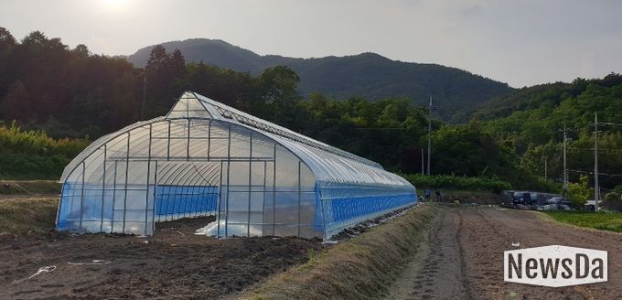 보조사업으로 설치된 비닐하우스