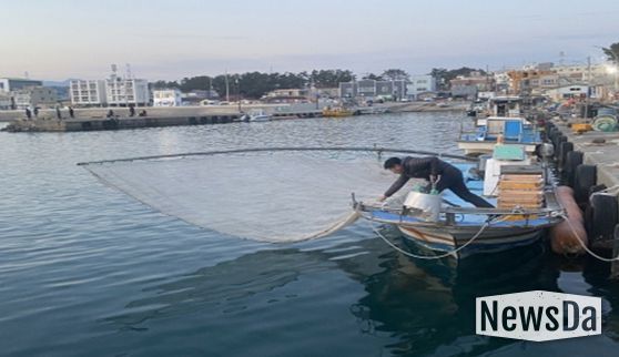 분기초망 그물 전개