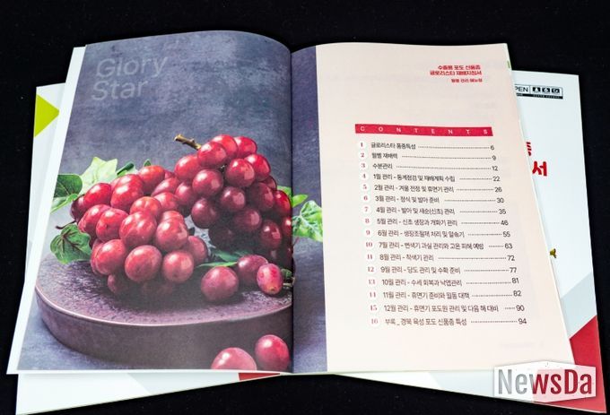 수출용 포도 신품종 ‘글로리스타’ 재배 지침서 발간