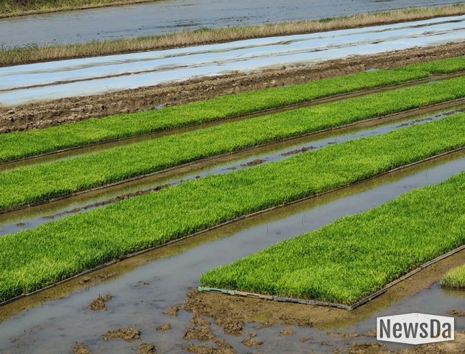병해충 사전 차단 나선 익산시