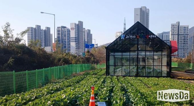과천시 도시농업센터 모습