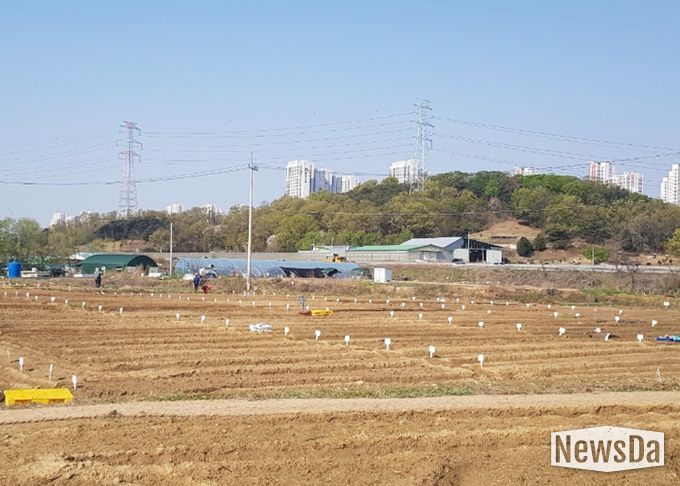 남양주시, ‘2026년 정약용 도시텃밭’분양…도심 속 치유 공간 마련