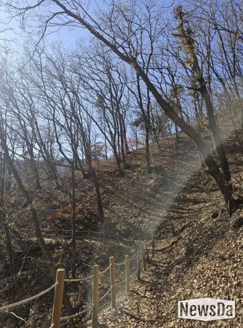 용인특례시가 추진한 광교산둘레길 2차사업 대상지 모습