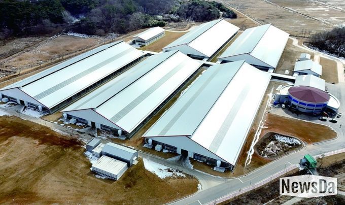 2025년 준공된 제1호 스마트축산단지(충남 당진 낙농단지)