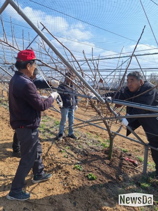 맞춤형 영농지원 본격화