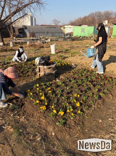 광명시 광명5동 청소년지도협의회는 지난 28일 다가오는 식목일을 기념해 위원들과 함께 봄꽃 심기 행사를 진행했다.