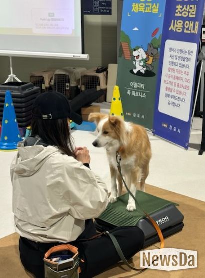 댕댕체육교실 중 독피트니스 프로그램을 진행하는 모습