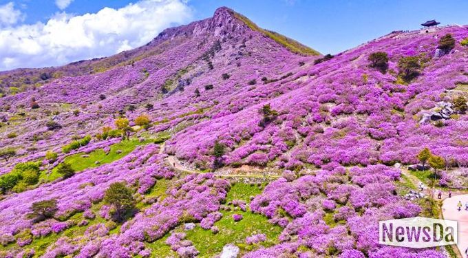 2025년 5월 산청 황매산 모습