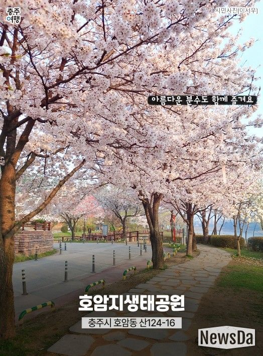 ‘충주 벚꽃 명소’ 홍보물