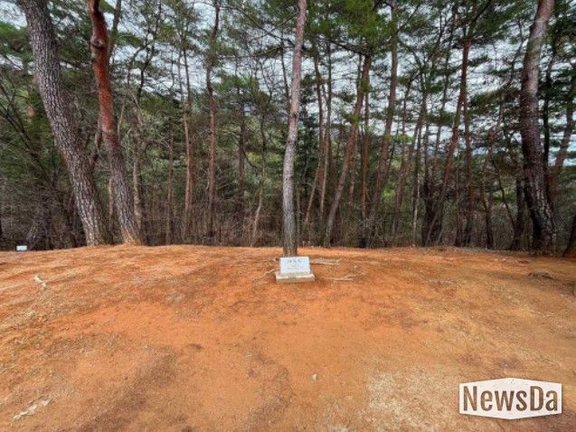 영월 장릉 정령송 주변 들꽃 식재 예정 공간
