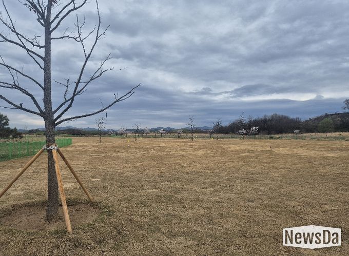 대산파크골프장 교육장 22홀 조성