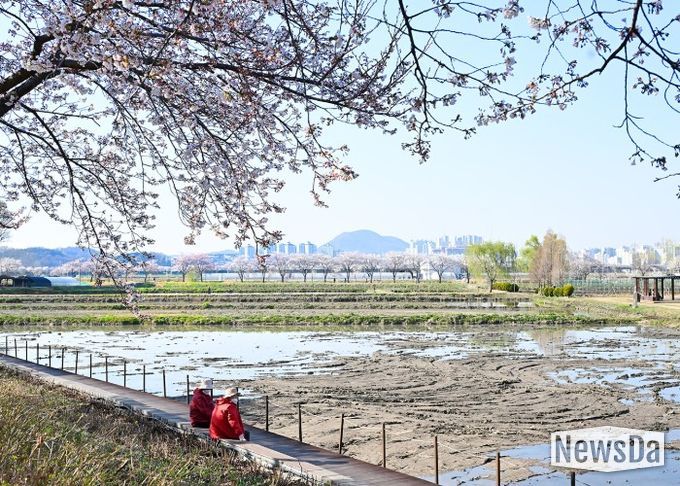 아름다운 우리 시흥시_연꽃테마파크