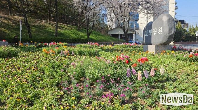 이천시, 설봉공원 봄맞이 초화류 식재 완료