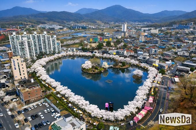 2026 연화지 벚꽃축제