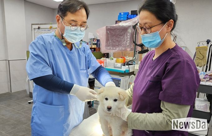 반려견 접종 사진