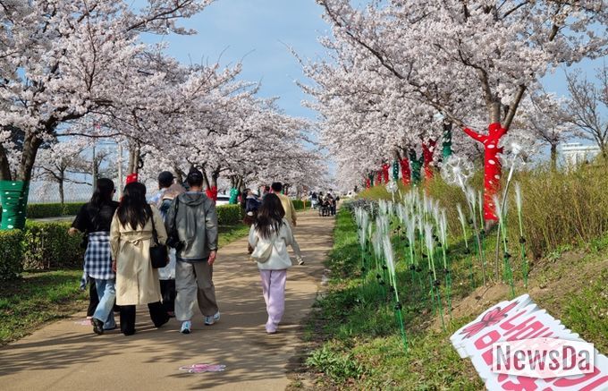 강릉 봄 관광 이끈 ‘2026 경포 벚꽃 축제’ 성료… 통합 홍보로 도심 전역 활기