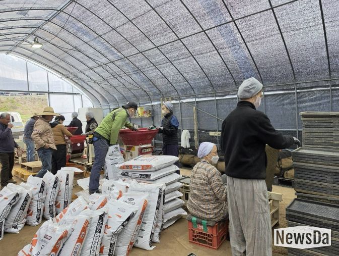 용인특례시 벼 파종 전 충분한 발아와 종자 소독을 당부했다. 사진은 벼 파종 준비 모습