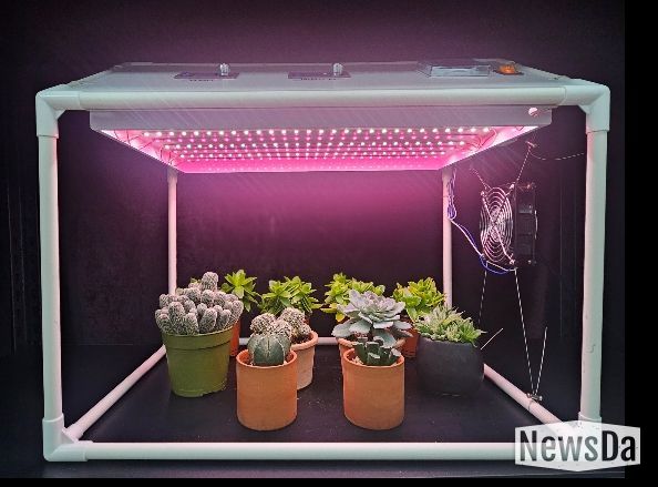 가정용 다육식물 생육상